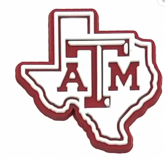 College - Texas A&M